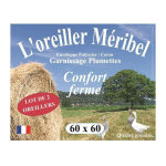 Les tendances - dodo lot de 2 oreillers meribel plumettes 60x60cm Les tendances - dodo lot de 2 oreillers meribel plumettes 60x60cm