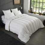 Couette nuits calmes - anti - acariens - temp�r�e - 200 / 200 - dodo