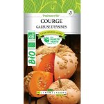 Graines courge galeuse d'eysines bio les doigts verts