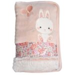Domiva lapinou protege carnet de sante -