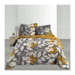 Douceur d'intrieur - housse de couette 240 x 220 cm percale de coton 78 fils scala