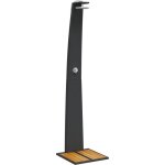 Douche d'ext�rieur noir 55x60x224 cm r�sine tress�e bois acacia vidaxl