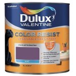 Dulux valentine - peinture acrylique color resist amethyste mat 1 l Dulux valentine - peinture acrylique color resist amethyste mat 1 l