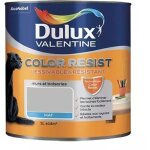 Dulux valentine - peinture acrylique color resist gris ciment mat 1 l Dulux valentine - peinture acrylique color resist gris ciment mat 1 l