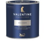 Dulux valentine - peinture int�rieure de haute qualit� - valentine - couleur intense & pouvoir couvrant ...