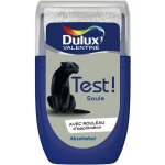 Dulux valentine - testeur couleur saule 30 ml - peinture