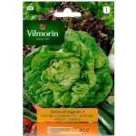 Dunlop - vilmorin sommer kagraner germes de laitue, ref: 928, 7 gr Dunlop - vilmorin sommer kagraner germes de laitue, ref: 928, 7 gr