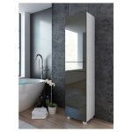 Dusine - colonne pureza 40 cm gris laqu bm salle de bain suspendue ou pose