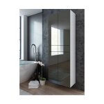Dusine - colonne pureza 60 cm - gris laqu bm salle de bain suspendue ou pose