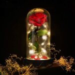 E - manis la belle et la bte rose kit cadeau dme en verre artificielle rose lampe base en bois lumire ...