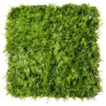 Easycloture - mur v�g�tal artificiel ext�rieur et int�rieur 1m x 1m foug�re