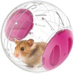 Einemgeld - 12cm boule gym pour hamsters et souris jouet d'activit� pour petits animaux balle d'exercice ...
