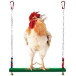 Einemgeld - balan�oire � poulet - jouets pour poules - jouet pour poules - oiseaux, perroquet, ara, poules ...