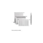 Baxi - elment de radiateur en aluminium dubal dimensions : 700 mm