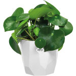 Jardinire carr pot de fleur blanc 1, 5l bac  fleur en plastique pour exterieur jardin terrasse