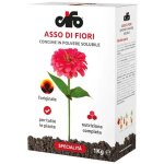 Engrais soluble ace of flowers cifo 1kg pour plantes de balcon, jardin et potager