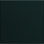 Enjoliveur interrupteur hager gallery 2 modules noir