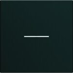 Enjoliveur interrupteur � voyant gallery 2 modules night hager wxd001n