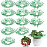 Ensemble de 12 pi�ces (vert) support � fraises, support pour fraisiers, petites fraises matures, support ...