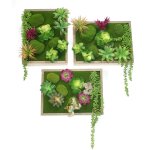 Pegane - ensemble de 3 tableaux vgtal mural avec plantes artificielles grasses et cadre faon bois ...