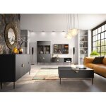 Ensemble meubles salon : meuble tv, table basse, buffet, vitrine, noir avec poign�es dor�es, collection ...