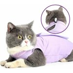 Cat professionnel restauration convient pour abdominaux collerette des plaies ou des maladies de la peau, ... Cat professionnel restauration convient pour abdominaux collerette des plaies ou des maladies de la peau, ...