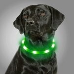 Collier d'clairage pour chiens, collier de chien led rechargeable par usb, collier de scurit rglable ...