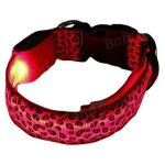 Ensoleille - colliers, harnais et laisses pour chien, collier de s�curit� pour animaux de compagnie en ...