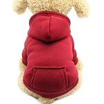 Sweat  capuche pour chat vtements pour chien en coton avec manteau d'hiver et poche extrieure, pull ...