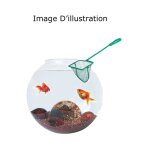 Epuisette de 12. 5 cm, pour aquarium, eau douce et eau de mer