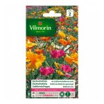 Eschscholtzia de californie ballerine varié vilmorin Eschscholtzia de californie ballerine varié vilmorin