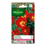 Eschscholtzia rouge vilmorin