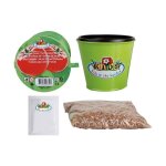 Esschert design - kit de plantation de tomates : commencez votre jardinage Esschert design - kit de plantation de tomates : commencez votre jardinage