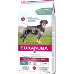 Eukanuba - daily care adult mono protein saumon - nourriture sèche pour chien - 12 kg Eukanuba - daily care adult mono protein saumon - nourriture sèche pour chien - 12 kg