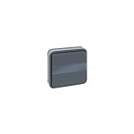 Eurohm oxxo bouton poussoir lumineux porte tiquette tanche encastr anthracite ip55 - 60885