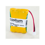Batterie 3. 6v nimh pour boitier qcm easytest codes rousseau Batterie 3. 6v nimh pour boitier qcm easytest codes rousseau