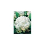 Chou fleur hormade - 1 g - graines de l�gumes
