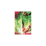 Chicoree scarole cornet d anjou - 6 g - graines