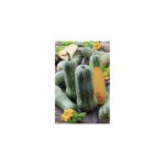 Courge pleine de naples - graines de légumes - 5 g Courge pleine de naples - graines de légumes - 5 g