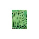 Haricot nain calypso - graines de l�gumes - 150 g
