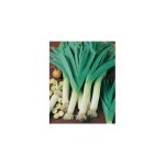 Poireau bleu de solaise - 3 g - graines de lgumes