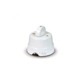 Interrupteur de de'veloppement 10a 250v 84001