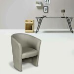 Fauteuil avec revêtement en éco - cuir, couleur grise, 65 x 78 x 60 cm, avec emballage renforcé - dmora ... Fauteuil avec revêtement en éco - cuir, couleur grise, 65 x 78 x 60 cm, avec emballage renforcé - dmora ...