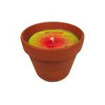 Favorit - bougie anti moustique pot en terre cuite 350g Favorit - bougie anti moustique pot en terre cuite 350g
