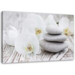 Feeby - tableau sur toile, orchidée blanche et pierres - 90x60 Feeby - tableau sur toile, orchidée blanche et pierres - 90x60