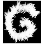 Guirlande boa plumes hritage 186cm blanc - paris prix