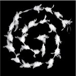 Fric lights and christmas - guirlande de nol bouquet de plumes blanches sur ruban satin longueur ...