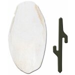 Os de seiche pa 4330 os de seiche pour oiseaux. variante pa 4330 - misure: 5 x 1. 5 x h 12. 5 cm - - ...