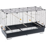 Piano 8 volière cage à oiseaux piano 8 : grande cage avec accessoires pour canaris, perruches, pinsons. ... Piano 8 volière cage à oiseaux piano 8 : grande cage avec accessoires pour canaris, perruches, pinsons. ...