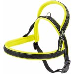 Sport dog p harnais pour chiens avec rembourrage soft. diff�rentes mesures et couleurs fluo. . variante ...